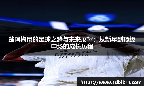 快盈VIII官网