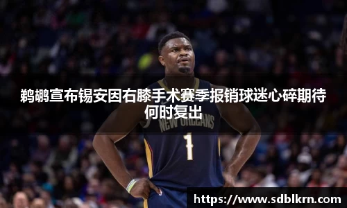 鹈鹕宣布锡安因右膝手术赛季报销球迷心碎期待何时复出