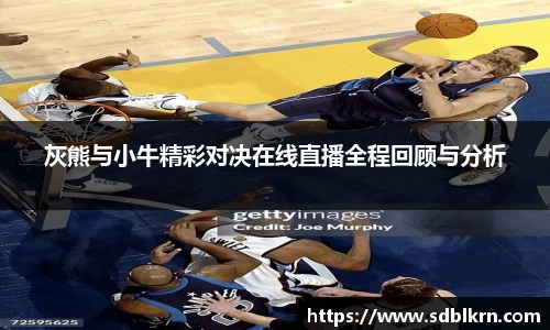 灰熊与小牛精彩对决在线直播全程回顾与分析